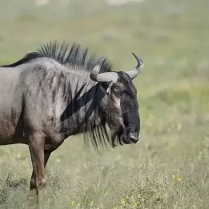 몸캠피싱 의심 상황 체크리스트 – 이 중 하나라도 해당되면 위험