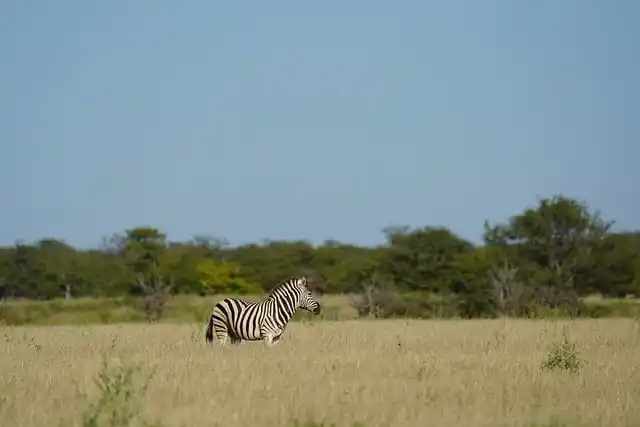 몸캠피싱 최신 수법 총정리 – 실제 피해 사례로 보는 위험 신호
